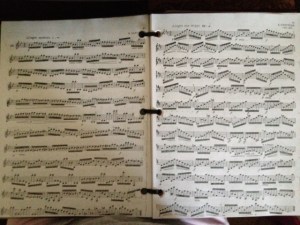 #12 and #22 of the Langenus method